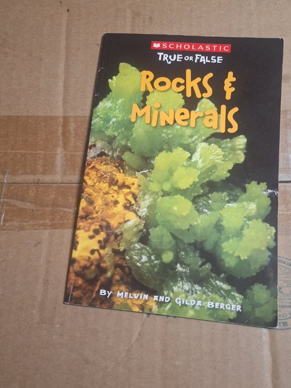Rocks and Minerals Scholastic book